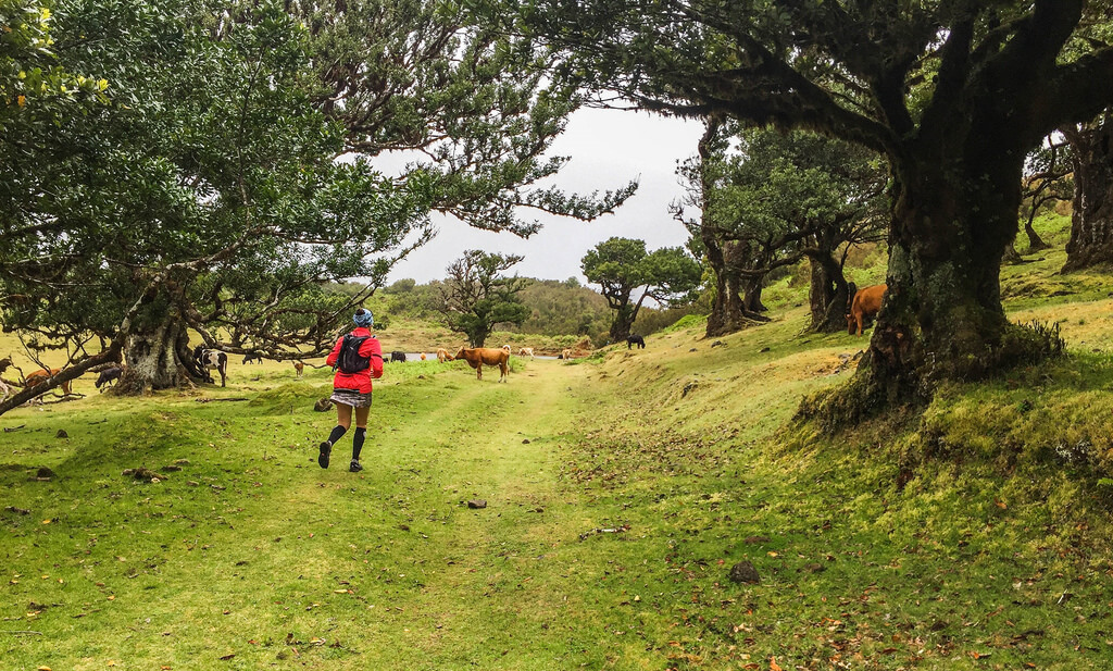 Sao Vicente Trail Running